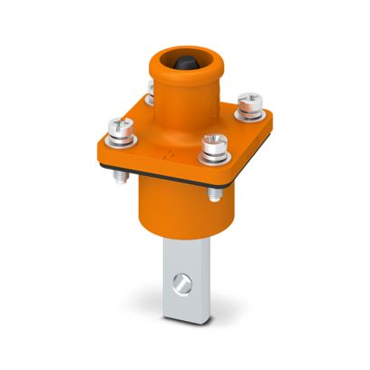 Image principale web