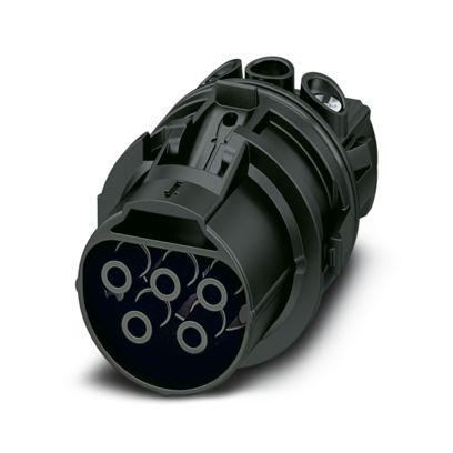 Image principale web