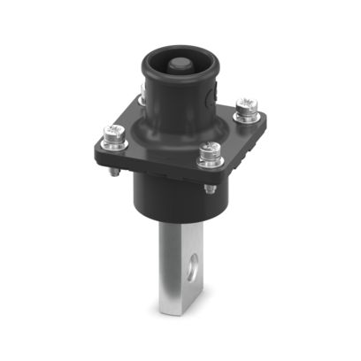 Image principale web