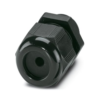 Image principale web