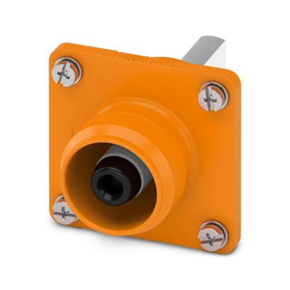 Image principale web