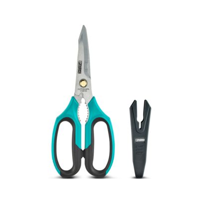 Image principale web