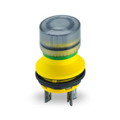 Image principale web